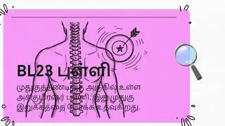 உடனடி முதுகு வலி நிவாரணம் | Instant Pain Relief | Tamil Podcast