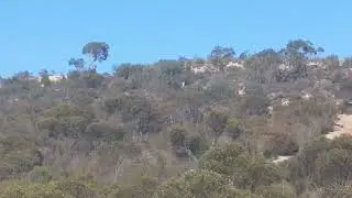 Border Track - Land Rover Discovery Sand Dune Climb