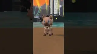 Rockruff Evolves!