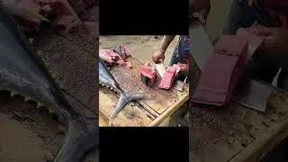 A Grade Fresh Tuna Cutting | Can you Find Fresh Tuna in Your Country???