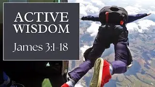 Active Wisdom