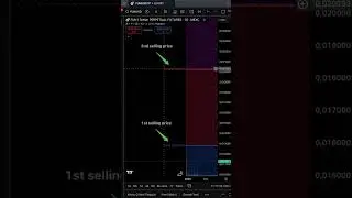 FUN Coin Analysis