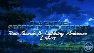 Peaceful Storm in the Forest  Rain Sounds & Lightning Ambience