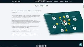 Обзор на компанию DATA REVOLUTION