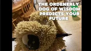 The ordenerely dog of wisdom predicts your future 
