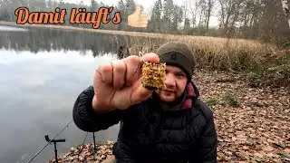 Einfaches Feeder- Angeln am Waldsee- Der Dezember ist gnädig 👌🏻