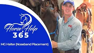 MG Halter (Noseband Placement) | Horse Help - Michael Gascon