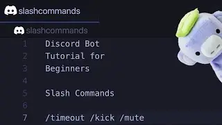 Discord Tutorial for Beginners 2022: Slash Commands & Moderation: Timeout, Kick, and Ban