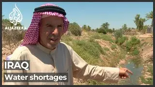 Water shortages hit Iraqi farmers hard