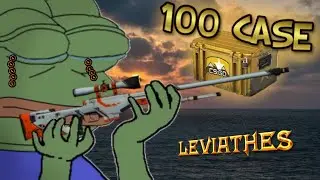 100 BEDEN a Levi uctívá Gabena /w hornakcz - Leviathes CS:GO Case opening #2