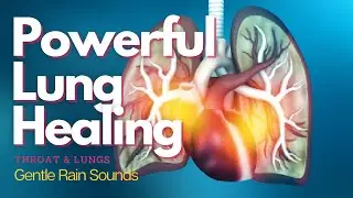 ❋ Powerful! ~ Respiratory System Healing | Lung Restoration | Frequencies ~ Gentle Rain Sounds