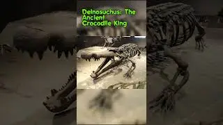 Deinosuchus: The Ancient Crocodile King #shorts