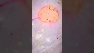 Sparkle & Shine with this Diamond Dust Bath Bomb Demo!