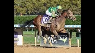 Champagne Stakes (G1) 2024
