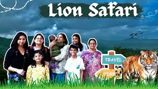 Lion safari 🦁 Day -3 in Daman 🏯 #trending #funny #viral #video 