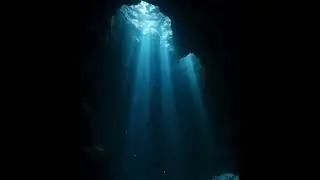 Тиша глибини@