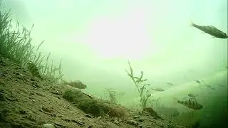 Волга гл. 2м. 30.12.2025г.