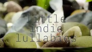 Gentle Screen Time for Toddlers Axolotls - Soothing Indie Music for Moms