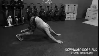 Downward Dog Plank - Cygnus Training Lab