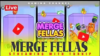 How To Score 1000 Merge Fellas : 👍 Good stream | Playing Solo | Streaming with Turnip