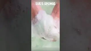 ASMR Net and Microfiber Sponge x Mr. Clean