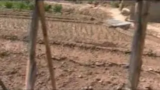 Construción de una tomatera