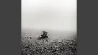 Heartfelt Echoes