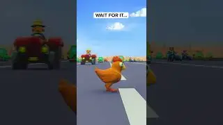 Farm Jam | Discover the Amazing World of Chicken Road on our Farm!