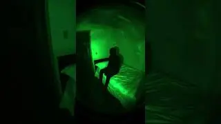 My Dog Wouldn&rsquo;t Come Near My Bed&hellip;