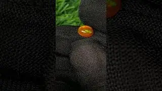 Ethiopian orange opal gemstone #shorts #viral