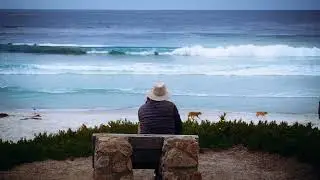 Exploring 17-Mile Drive | Peaceful Coastal Views of Monterey & Pebble Beach