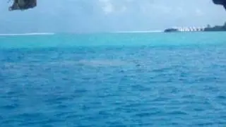 Landing Sea Plane