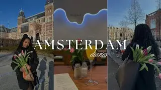 Day in My Life as a South African Living in the Netherlands | Tulip day, Brunch & More! 🇳🇱🌷🥞