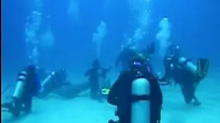 AKR Dolphin Dive