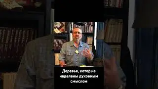 Деревья, которые наделены духовным смыслом