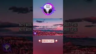 SHOUSE - Won't Forget You #SHOUSE #WontForgetYou #lyrics #music #song #soundforest