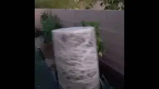 root porn !!!! one of my medical gardens from a few years ago going outside!!!