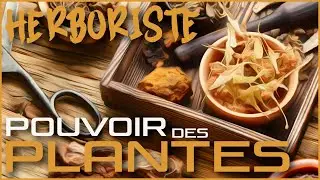 Cette semaine, je deviens... HERBORISTE (1/2)