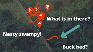 HARD TO GET TO SWAMP, NO PEOPLE NO BUGGIES GO HERE! HOW DEEP? HIDING SPOT? BUCK BED? I GOT TO KNOW!