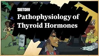 Thyroid Hormones: Hyper & Hypothyroidism (Part 1) | Sketchy Medical | USMLE Step 1