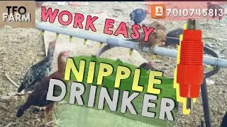 Birds farming | Animal farming | Vegetable farming | Fruits farming | ideas | TFO Farm channel
