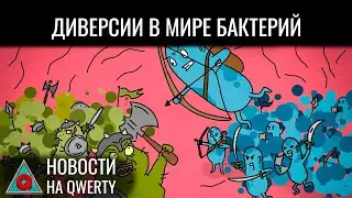 Климатический рекорд 2024. Новая ткань организма. Эффективность противовирусных. Новости QWERTY №328