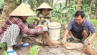 Thấy Phát Ham Khi Mỗi Lần Gia Đình Ra Vườn Chài Cá Dính Con Nào Cũng Cỡ Bàn Tay | BQCM & Family 