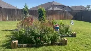 Polinator Garden Patch on a Breezy Day