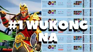 A chimp na story (TOP wukong player, REAL gameplay)