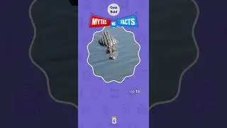 Myth vs Fact Animal Edition 1 by Quiz Bold #quizbold #animallover #animal #animalquiz