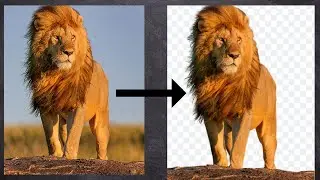 How to Remove Background from Image without Photoshop in SECONDS (Save your valuable time)