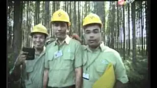 Commercial - Asia Pulp & Paper 2010 (3)
