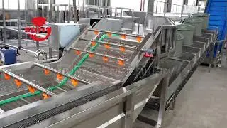 Pistachio Cleaning & Roasting & Seasoning Production Line