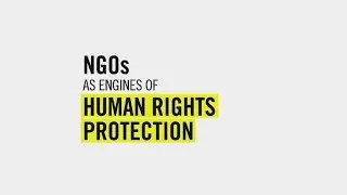 Amnesty:: NGOs as Engines of Human Rights Protection